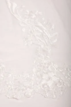 ASTER Long Wedding Veil with Lace Appliques