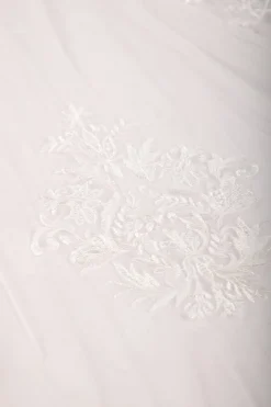 ASTER Long Wedding Veil with Lace Appliques