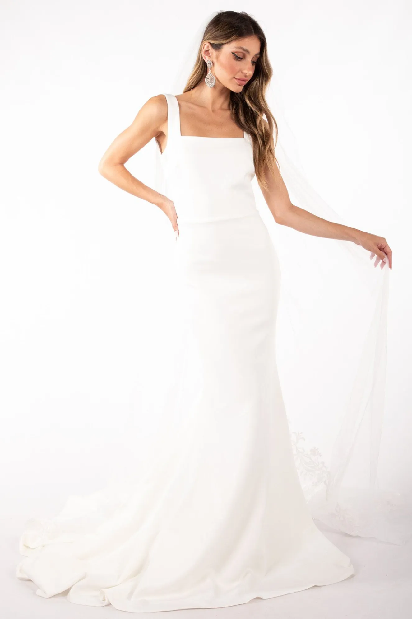 ASTER Long Wedding Veil with Lace Appliques